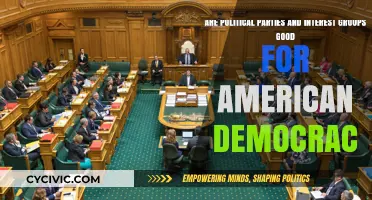 Political Parties and Interest Groups: Strengthening or Undermining American Democracy?