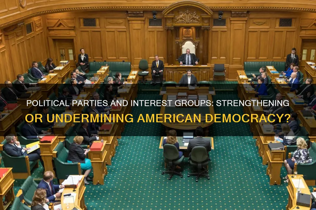 are political parties and interest groups good for american democracy