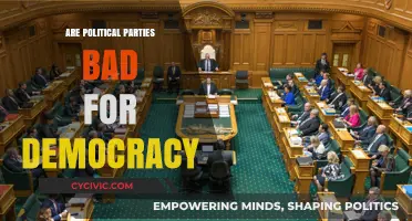 Do Political Parties Strengthen or Undermine Democratic Systems?