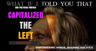 Are Political Parties Capitalizing on the Left's Ideological Divide?