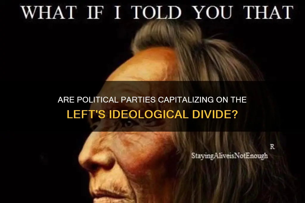 are political parties capitalized the left