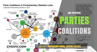 Are Political Parties Modern Coalitions? Exploring Unity and Division in Politics