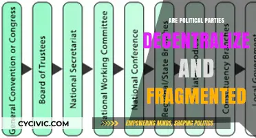 Decentralized or Fragmented? Analyzing the Structure of Modern Political Parties