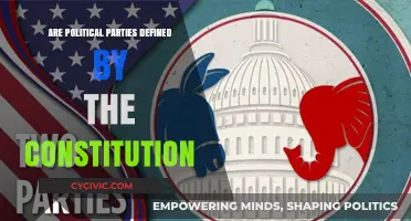 Are Political Parties Constitutionally Defined? Exploring Legal Frameworks and Roles