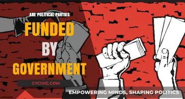 Are Political Parties Funded by Government? Uncovering Public Financing