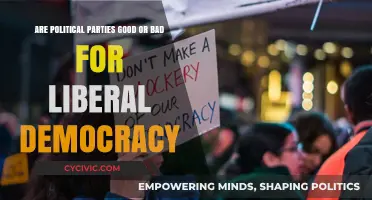 Political Parties: Essential Pillars or Threats to Liberal Democracy?