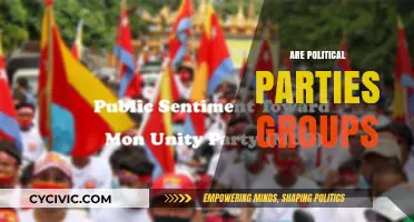 Are Political Parties Truly Unified Groups or Diverse Coalitions?