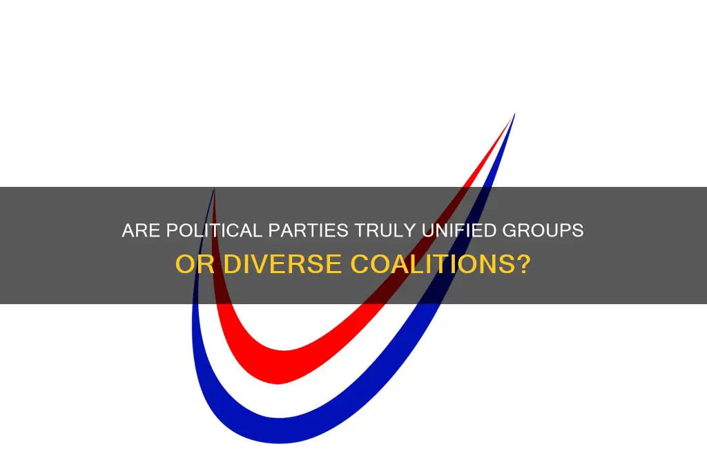 are political parties groups