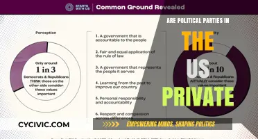 Are US Political Parties Private Entities? Exploring Their Legal Status
