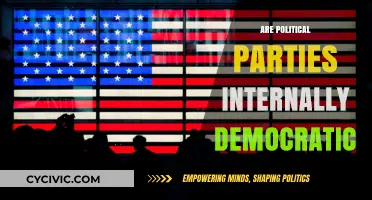 Are Political Parties Internally Democratic? Exploring Power Dynamics and Participation