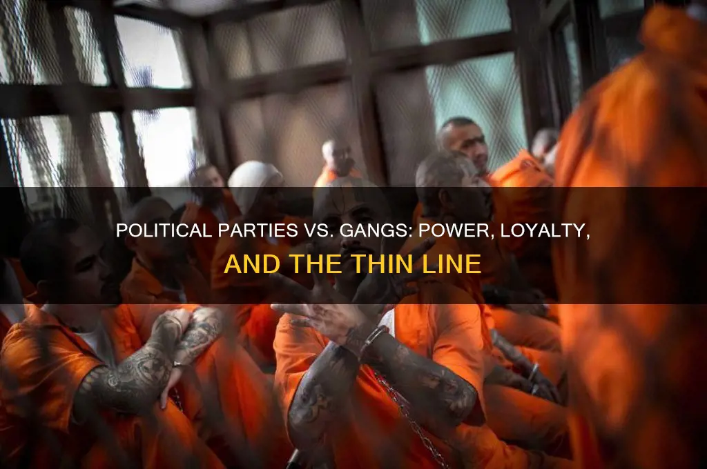 are political parties just glorified gangs