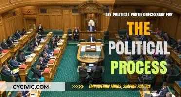 Are Political Parties Essential for Effective Democratic Governance?