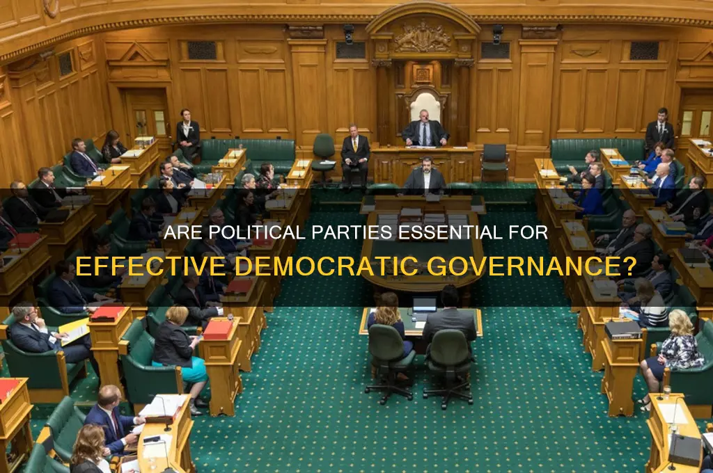 are political parties necessary for the political process