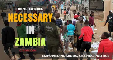 Are Political Parties Essential for Zambia's Democracy and Governance?