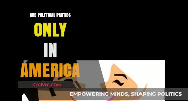 Are Political Parties Unique to America? A Global Perspective