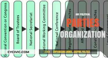 Are Political Parties Truly Organizations? Exploring Their Structure and Function