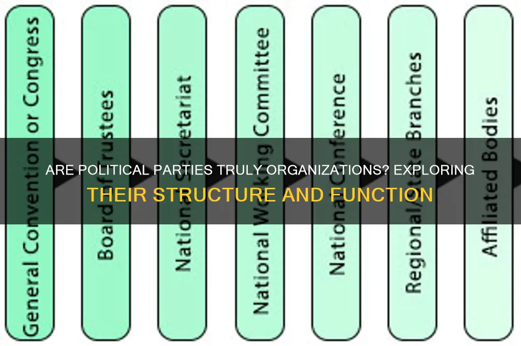 are political parties organizations