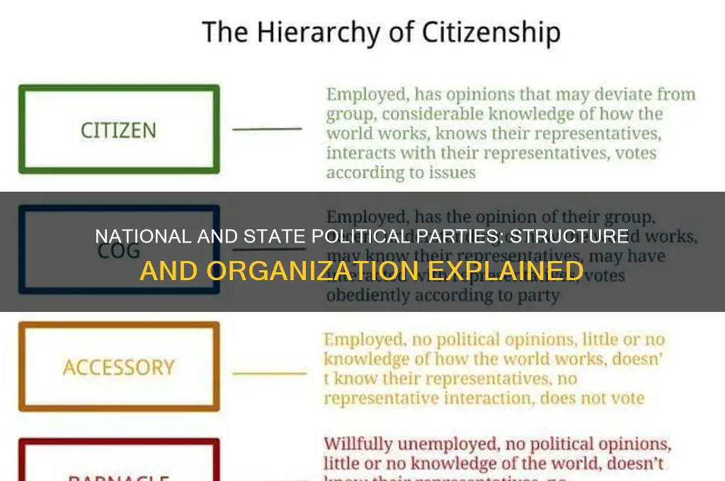 are political parties organized at the national and state levwls