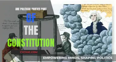 The Constitution and Political Parties: Partners or Strangers?