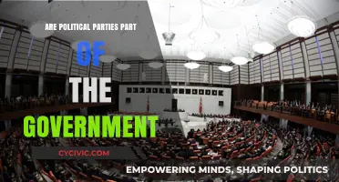 Are Political Parties Integral to Government Functioning? A Critical Analysis