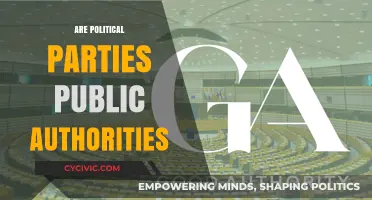 Are Political Parties Public Authorities? Exploring Legal and Democratic Boundaries