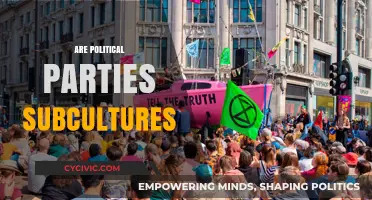 Political Parties as Subcultures: Identity, Ideology, and Social Dynamics Explored