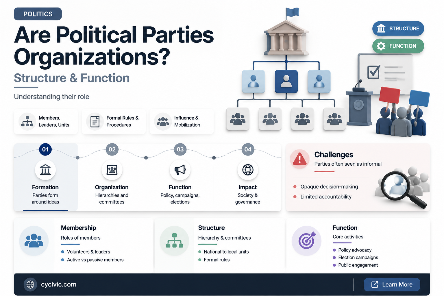 are political parties organizations