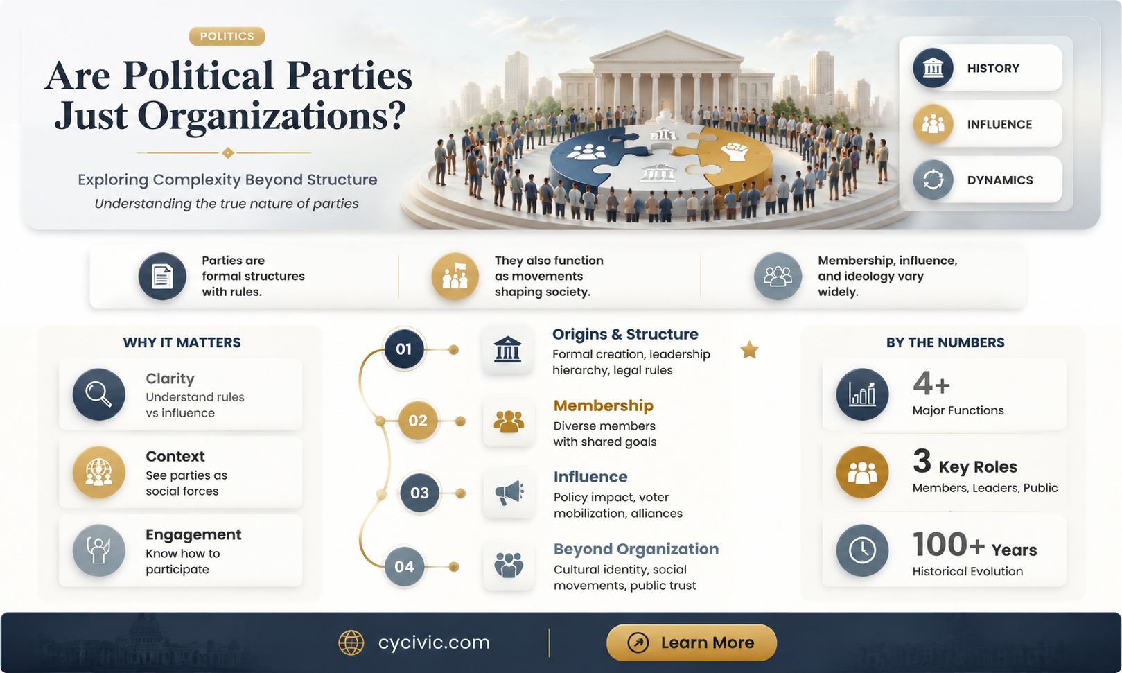 are political parrties organizations