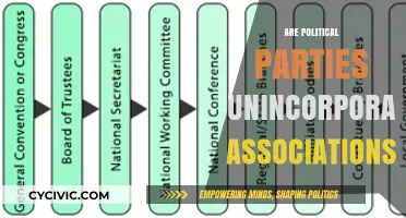 Are Political Parties Unincorporated Associations? Exploring Legal Structures and Implications