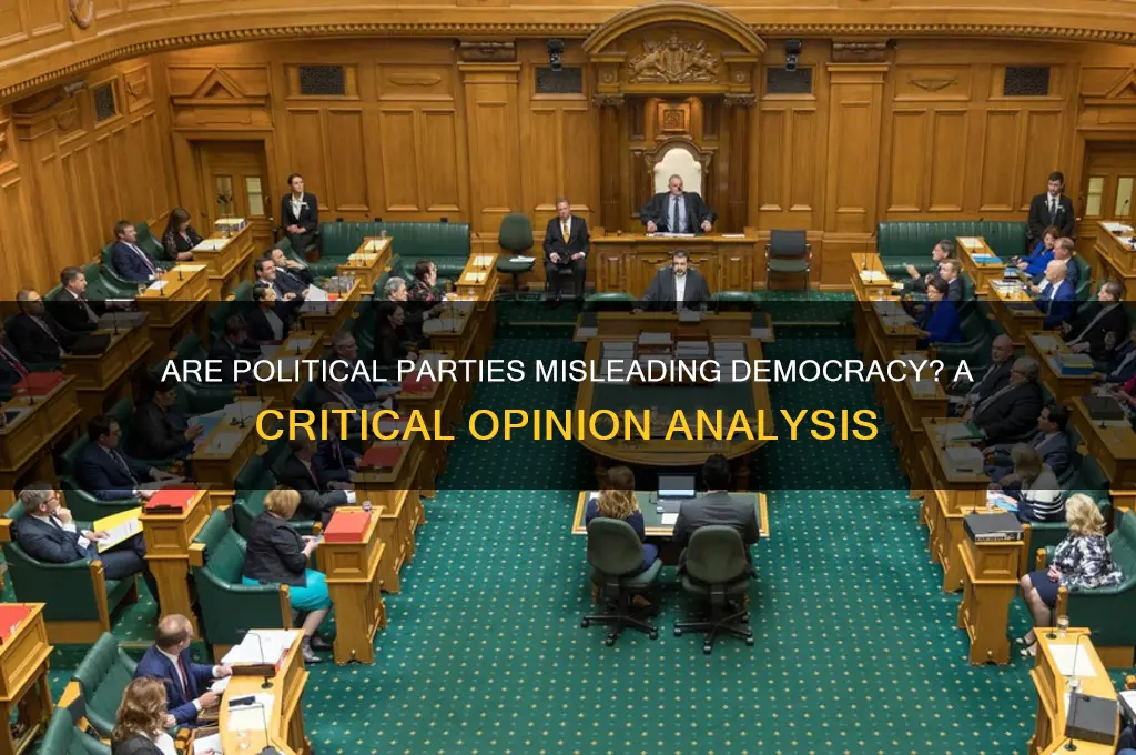 are political parties wrong opinion article