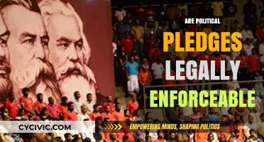 Are Political Pledges Legally Binding? Exploring Promises and Accountability