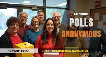 Are Political Polls Truly Anonymous? Privacy Concerns Explored