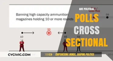 Are Political Polls Cross-Sectional? Understanding Their Design and Limitations