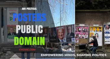 Are Political Posters Public Domain? Legal Insights and Usage Rights