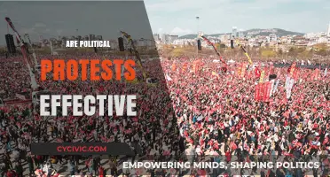 Do Political Protests Drive Real Change or Just Noise?