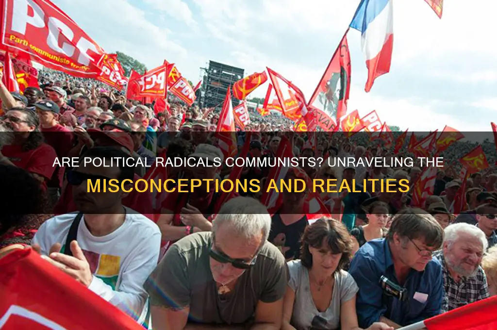 are political radicals communists
