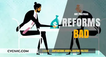 Are Political Reforms Harmful or Necessary for Societal Progress?