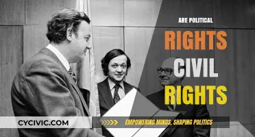 Are Political Rights Civil Rights? Exploring the Intersection of Liberties