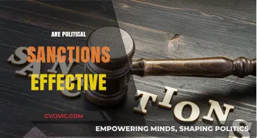 Do Political Sanctions Achieve Goals or Escalate Global Tensions?