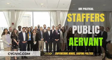 Are Political Staffers Public Servants? Debating Roles and Responsibilities