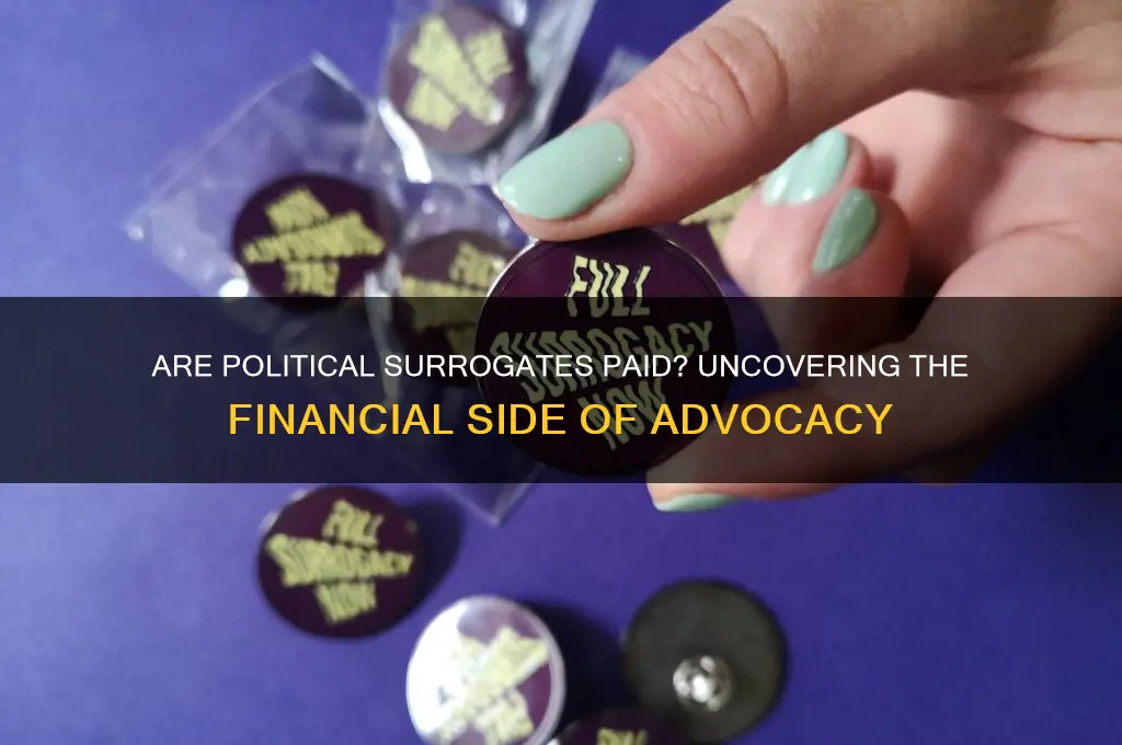 are political surrogates paid