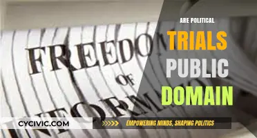 Are Political Trials Public Domain? Exploring Legal Boundaries and Transparency