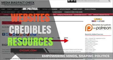 Are Political Websites Reliable? Evaluating Credibility in Online Politics