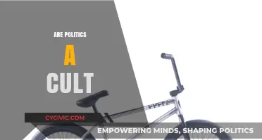 Are Politics a Cult? Exploring the Devotion and Division in Modern Governance