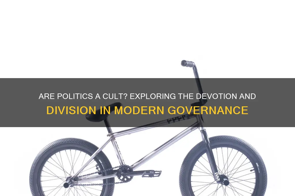 are politics a cult