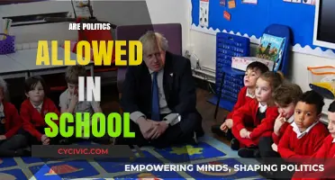 Should Politics Be Taught in Schools? Exploring the Debate and Boundaries