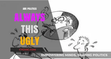 Are Politics Always This Ugly? Exploring the Dark Side of Democracy