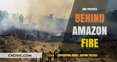 Amazon Rainforest Ablaze: Political Motives Fueling the Devastating Wildfires?