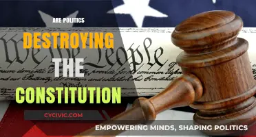 Is Partisan Politics Undermining the Constitution's Core Principles?