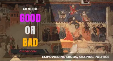 Politics: A Force for Good or a Necessary Evil?